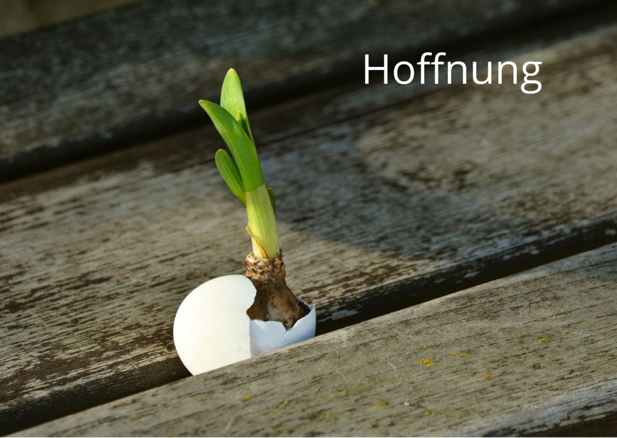 Hoffnung Hoffnung