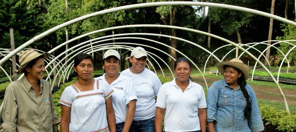 01 Forest-Workers Frauen 01 Forest-Workers Frauen
