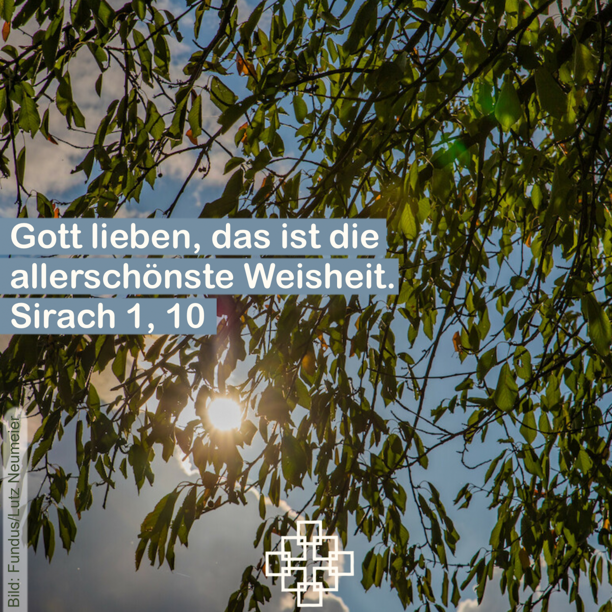 Monatsspruch September 22 mit Facettenkreuz | Foto: Lutz Neumeier / fundus-medien.de Monatsspruch September 22 mit Facettenkreuz | Foto: Lutz Neumeier / fundus-medien.de